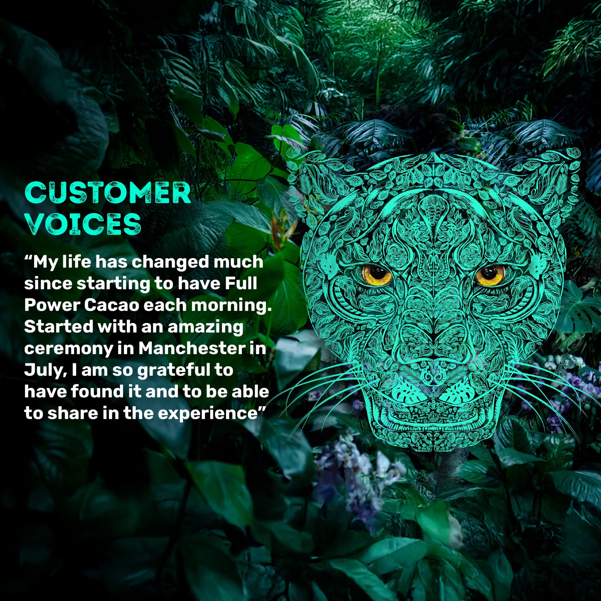 Customer Testimonial Full Power Cacao