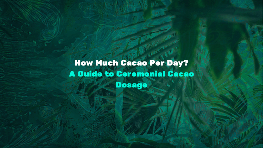 How much cacao per day? A guide to ceremonial cacao dosage image