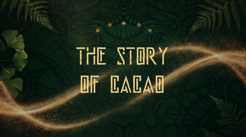 THE STORY OF CACAO
