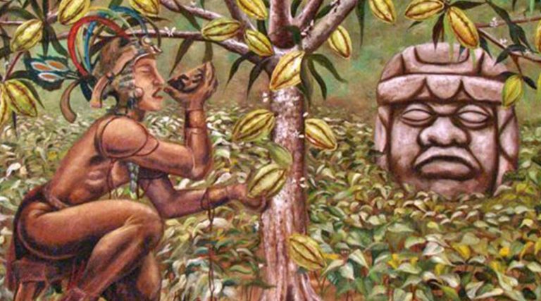 HISTORY OF CACAO image