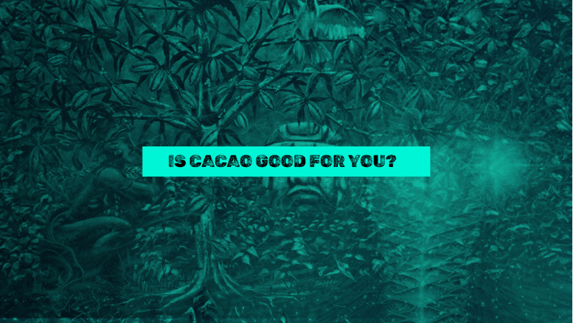 Is Cacao Good for You? Exploring the Amazing Benefits of Ceremonial Cacao image